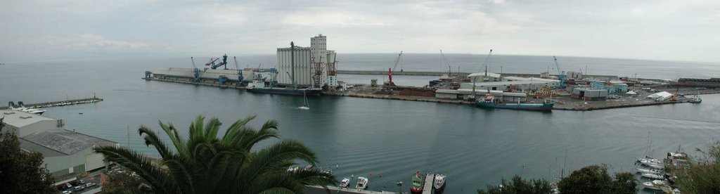Panoramica-Porto-Savona