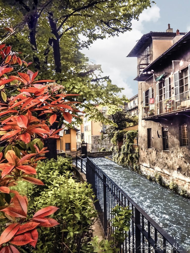 Small river across colors