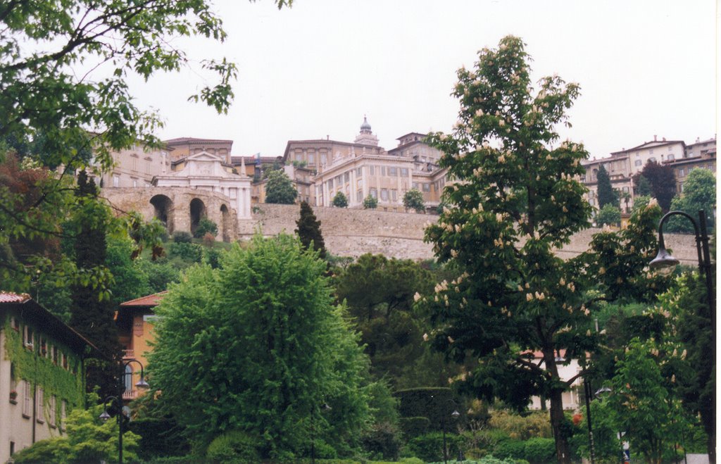 Old City from Begamo