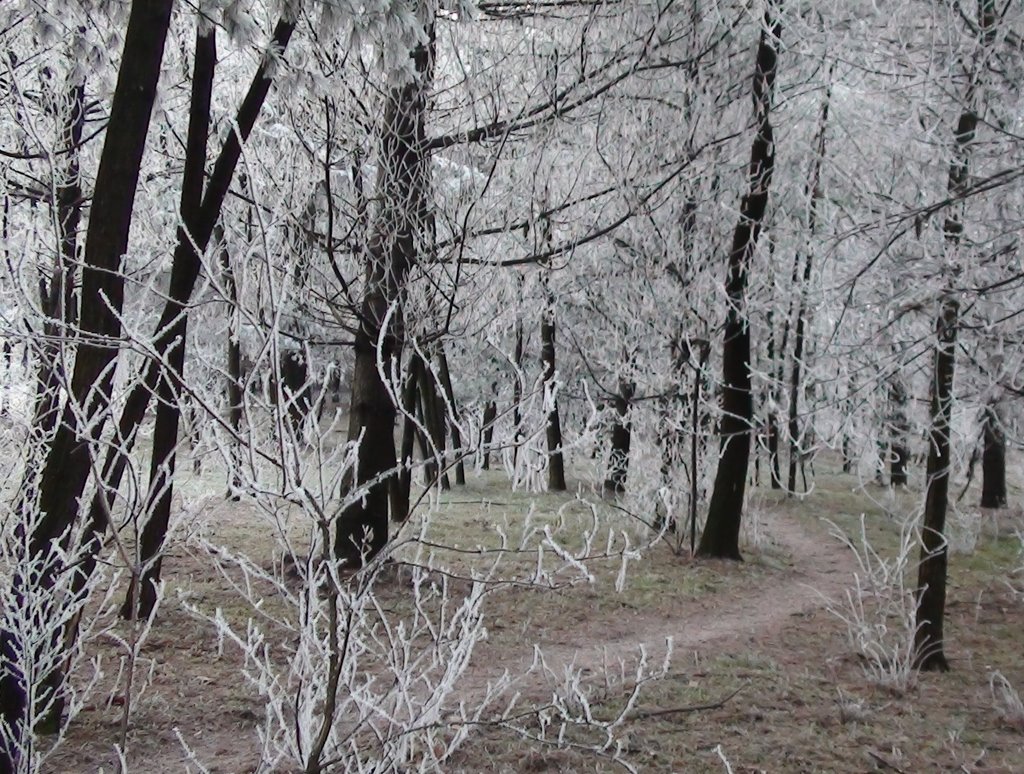 GALAVERNA NEL PARCO ALTOMILANESE