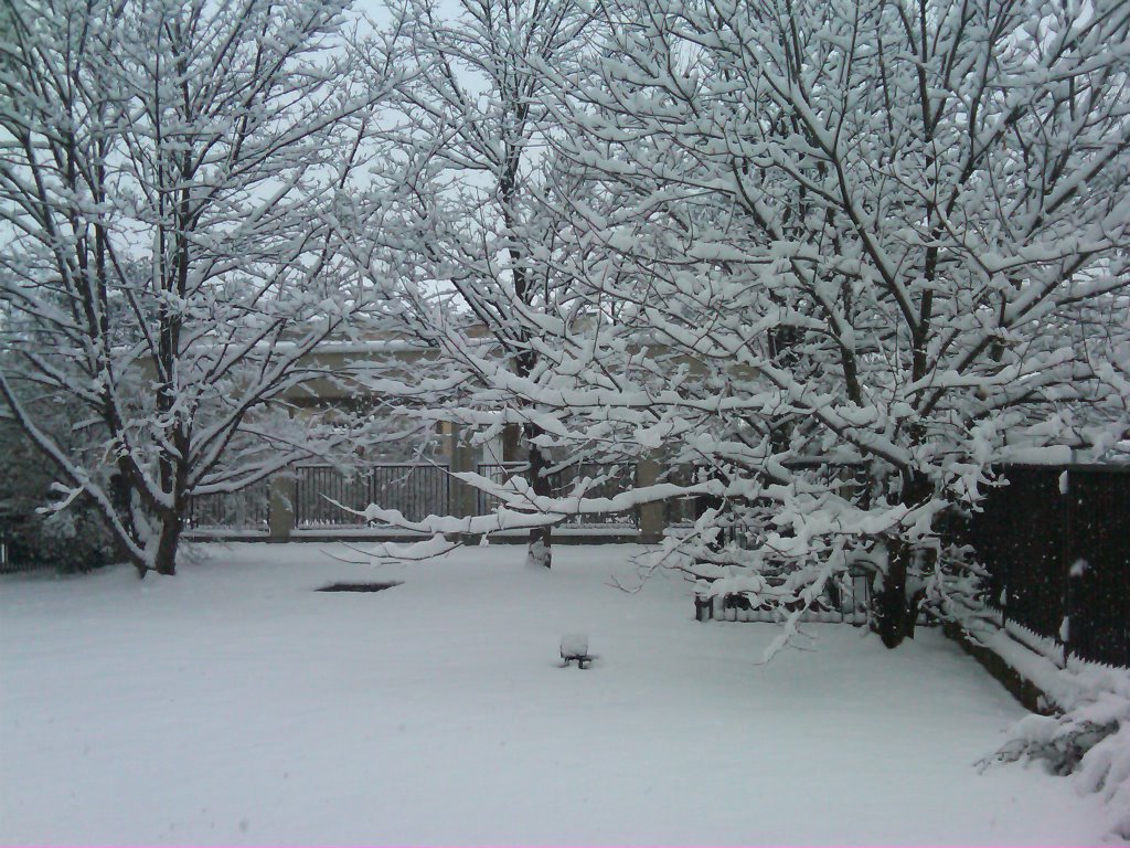 Neve a Busto Arsizio