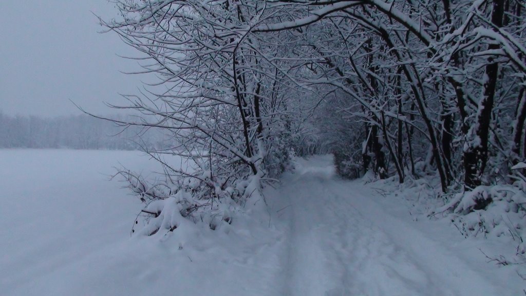NEVE NEL PARCO ALTOMILANESE