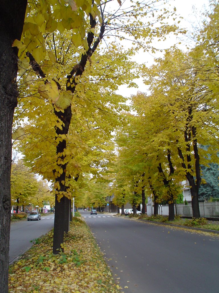 Autunno
