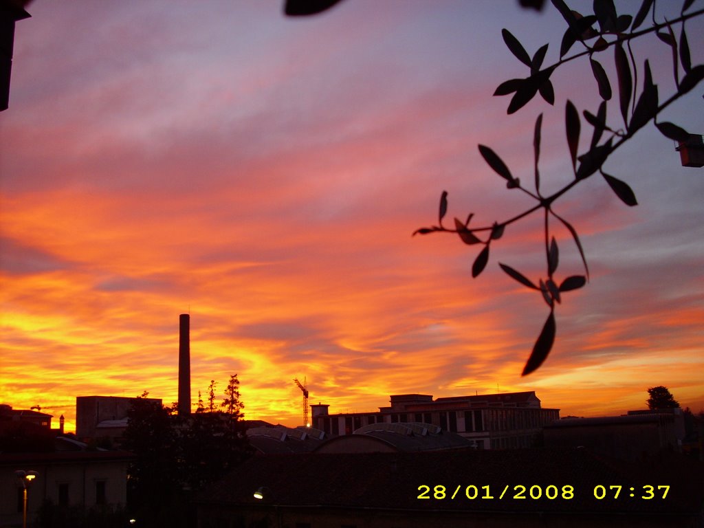 Alba a Busti Grandi
