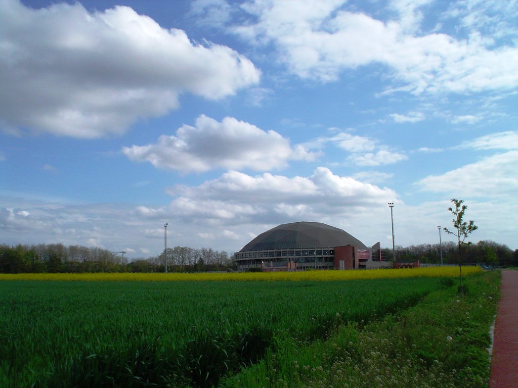 PALAZZETTO DELLO SPORT