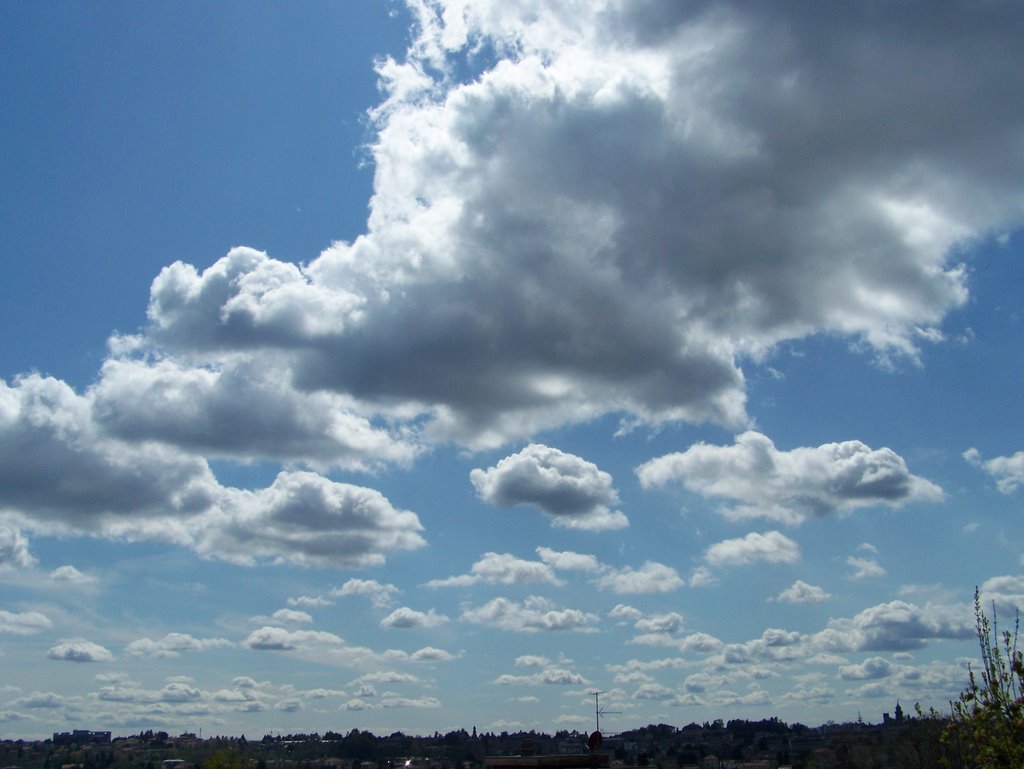 Cielo a pecorelle...