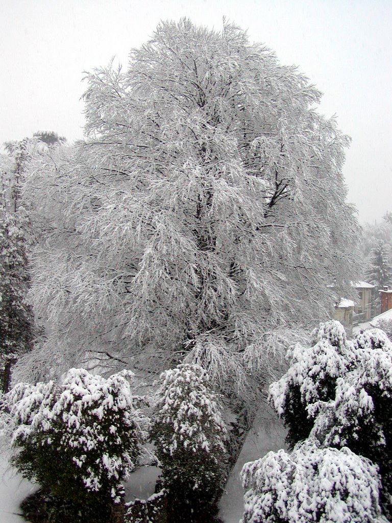 neve al parco di Villa Augusta