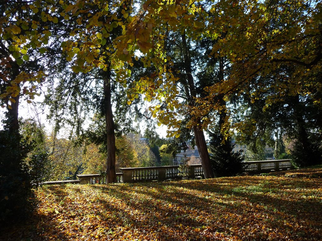 Fall color (3)