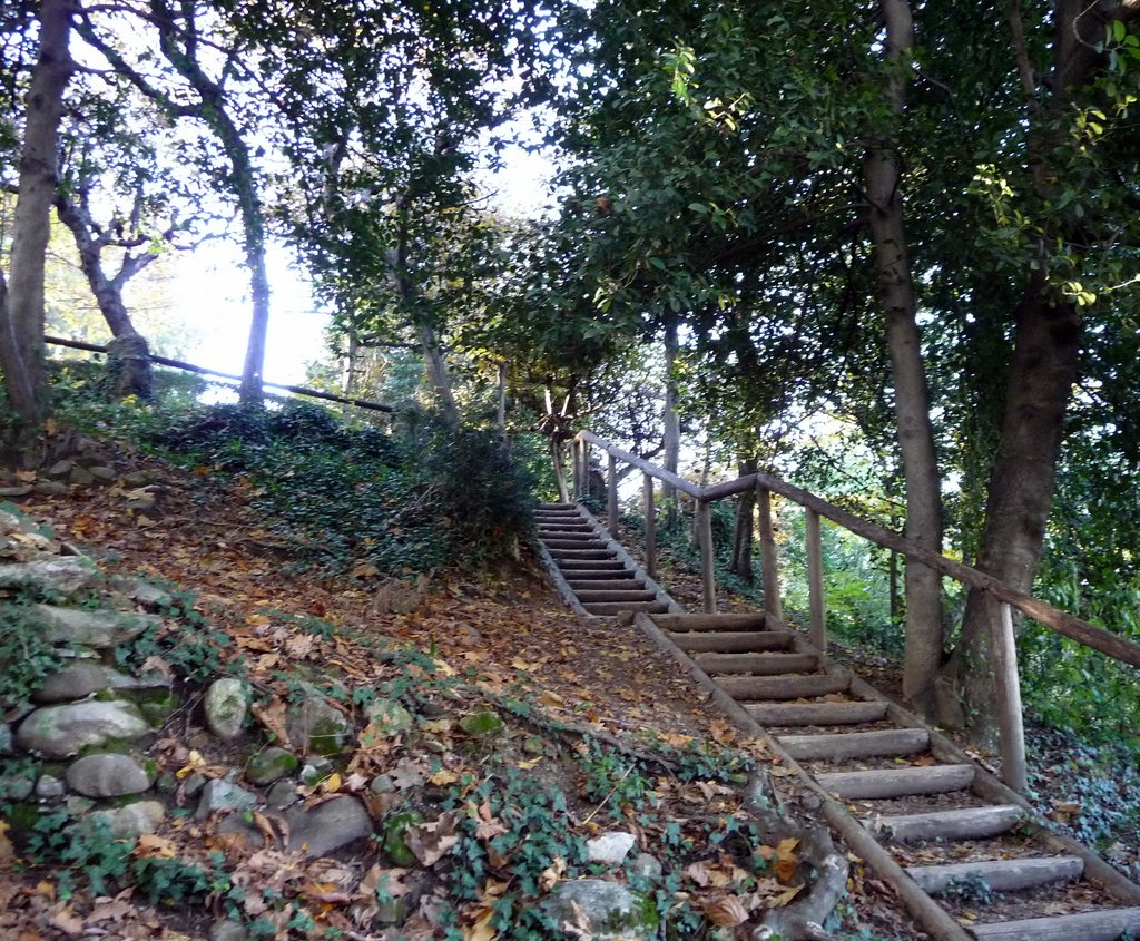 Passeggiata autunnale ai Giardini Estensi di Varese