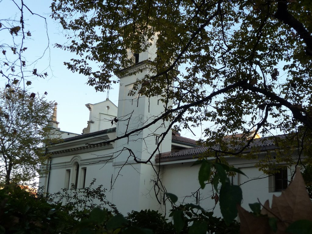 Chiesa S. Antonio in Piazza della Motta - Varese