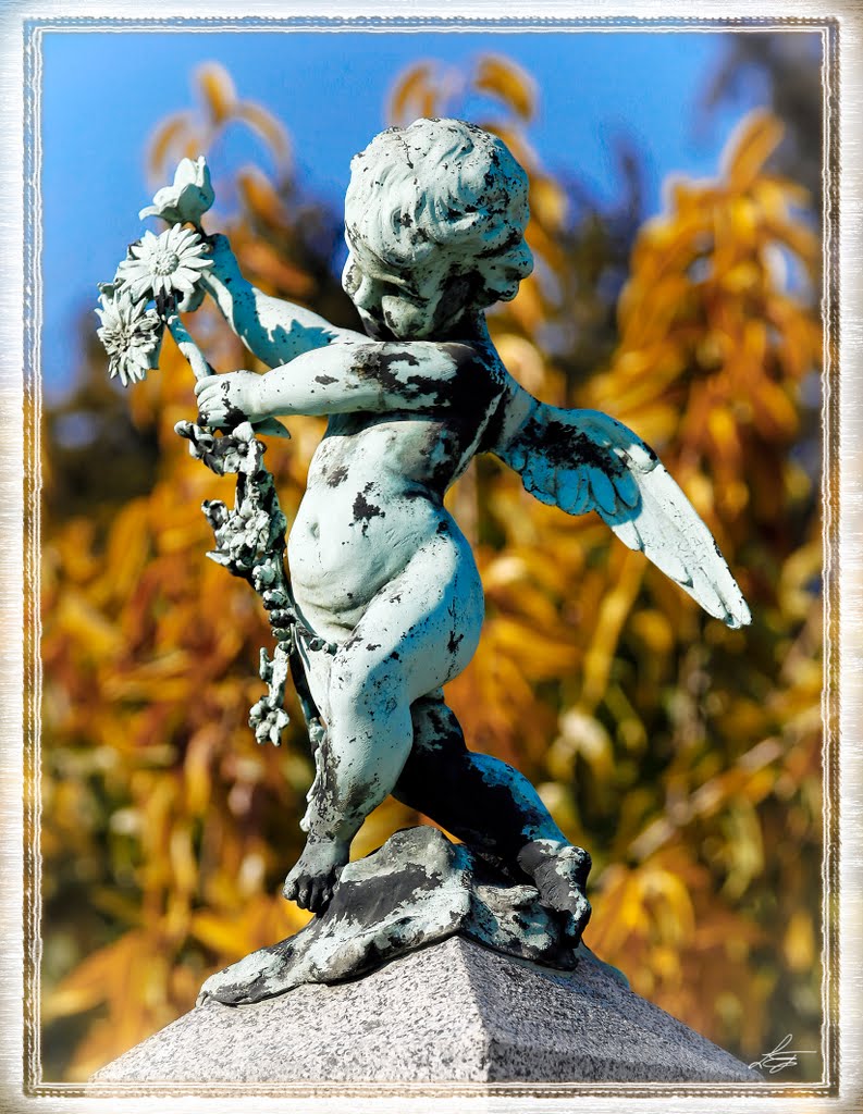Guardian Angel