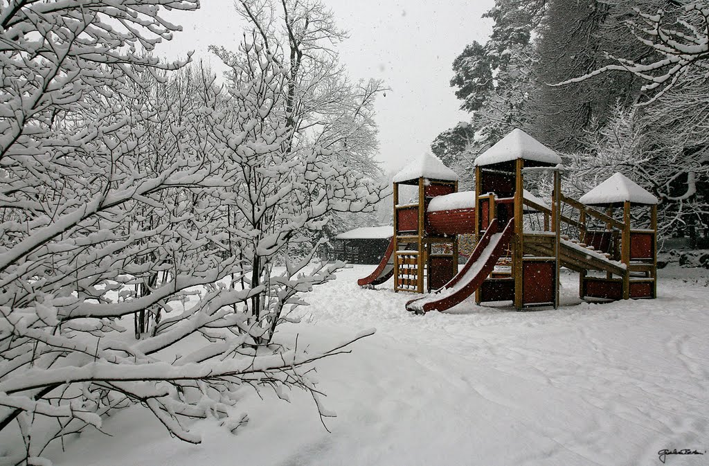 Neve ai giardini estensi
