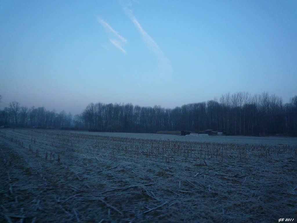 frozen morning