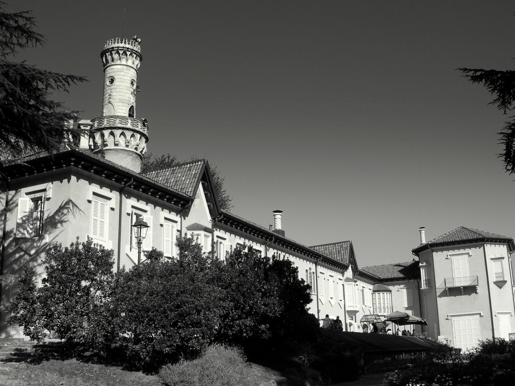 Varese