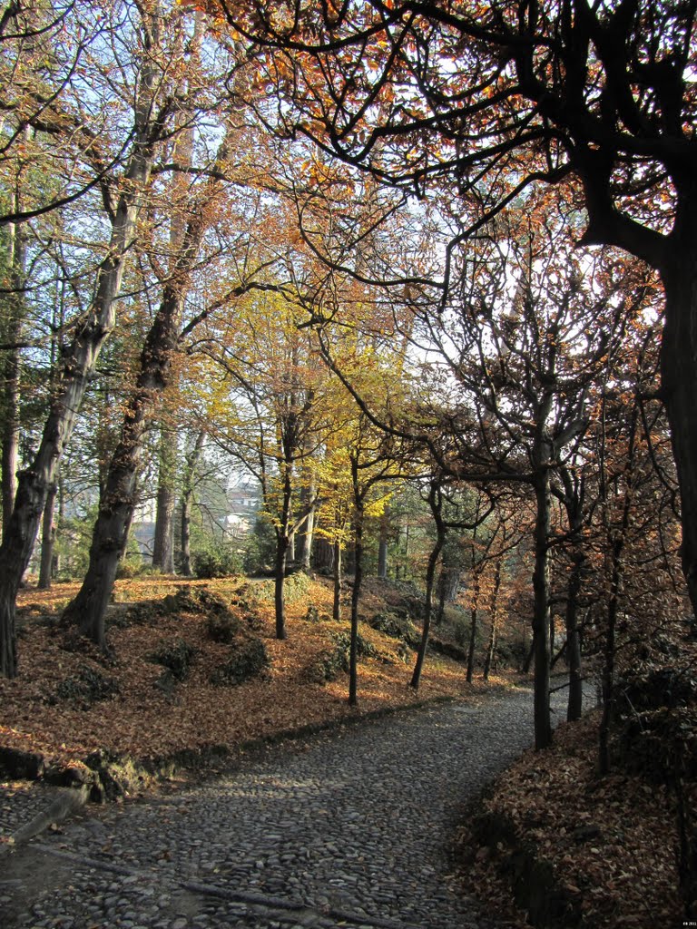 autunno ai Giardini Estensi