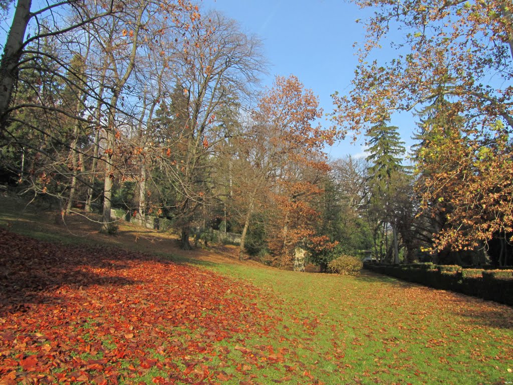 autunno a Villa Mylius