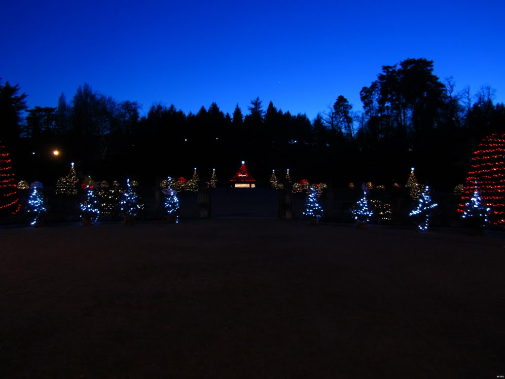 luci di Natale ai Giardini Estensi