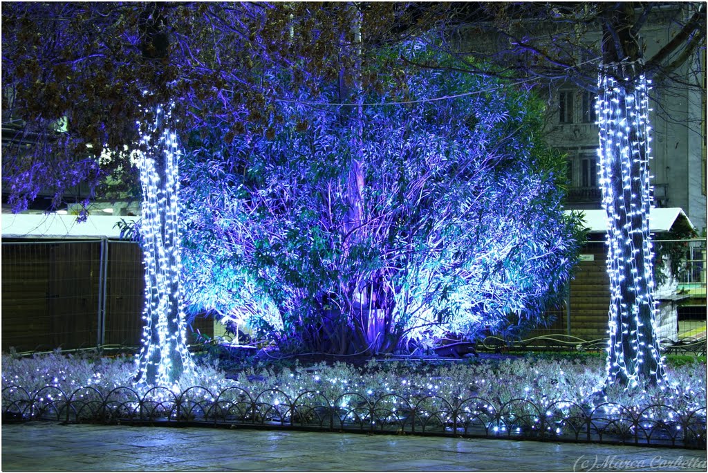 Christamas in Como
