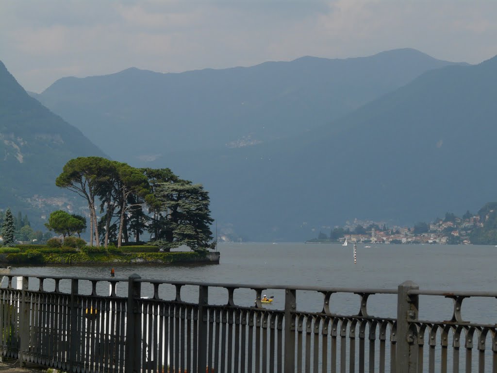 Beautiful trees at lake Como