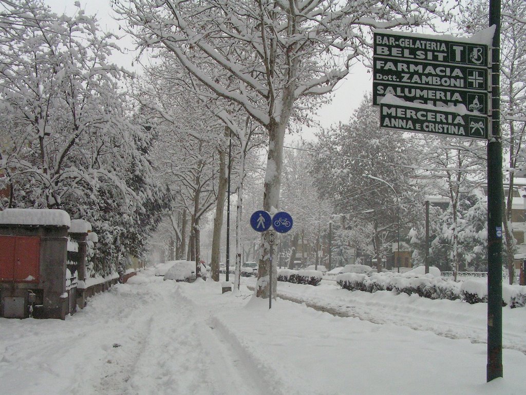 CREMONA  Viale Po  nevicata gennaio 2006