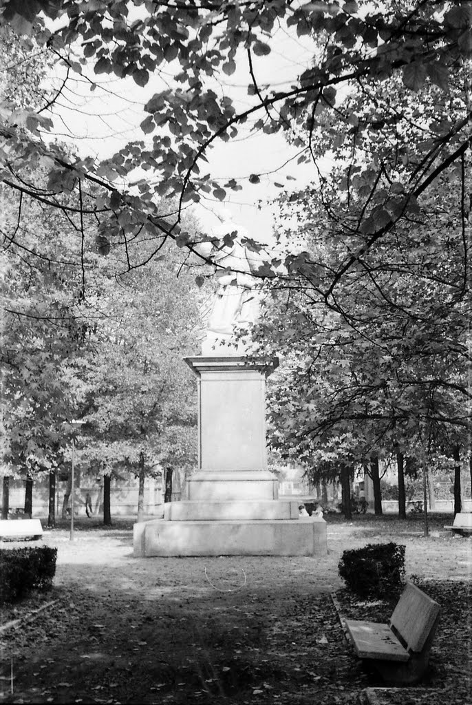 I giardini di Piazza Castello e la statua a Vittorio Emanuele II