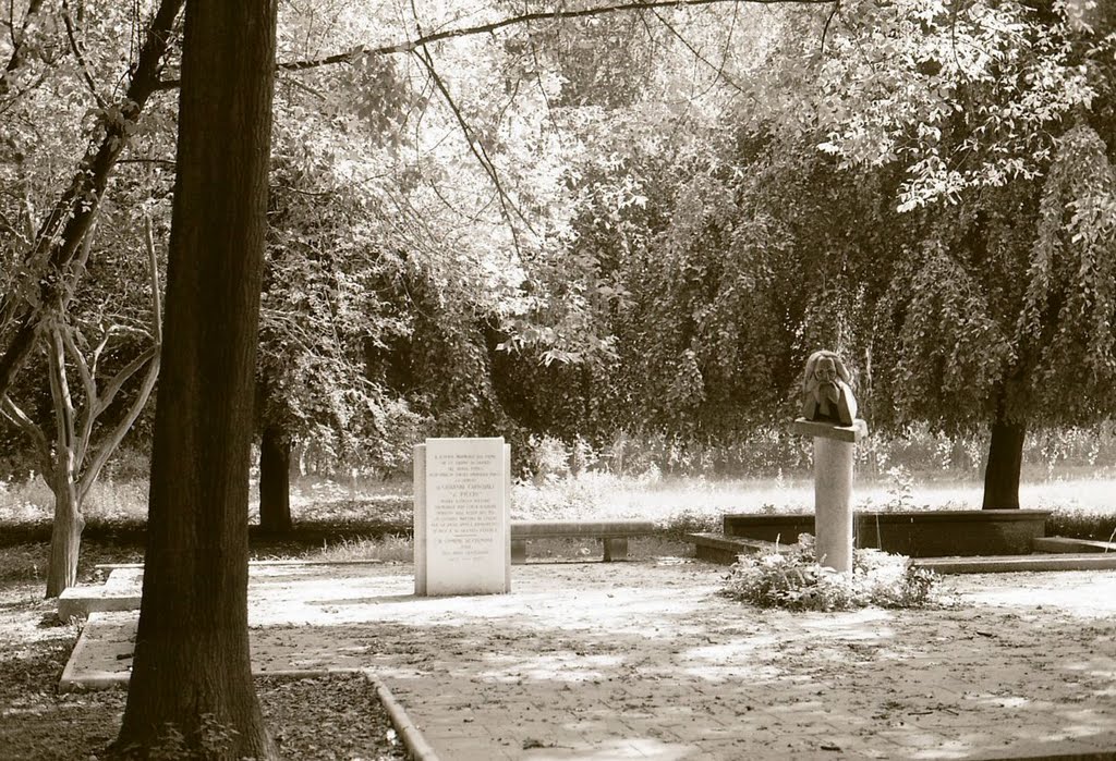 Il monumento a Giovanni Carnovali detto "Il Piccio"