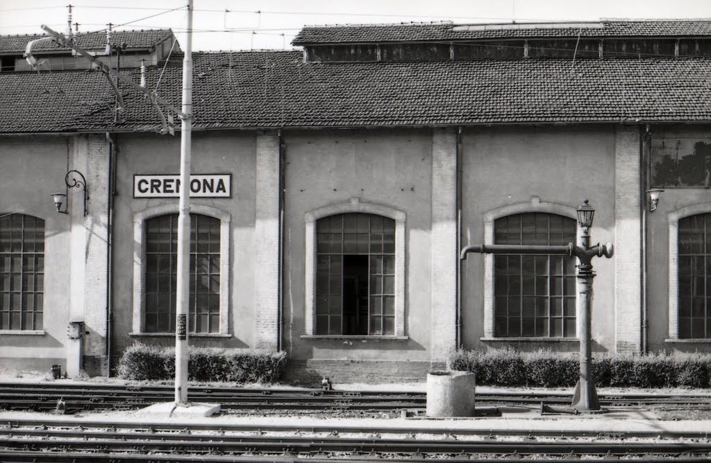 Dal treno