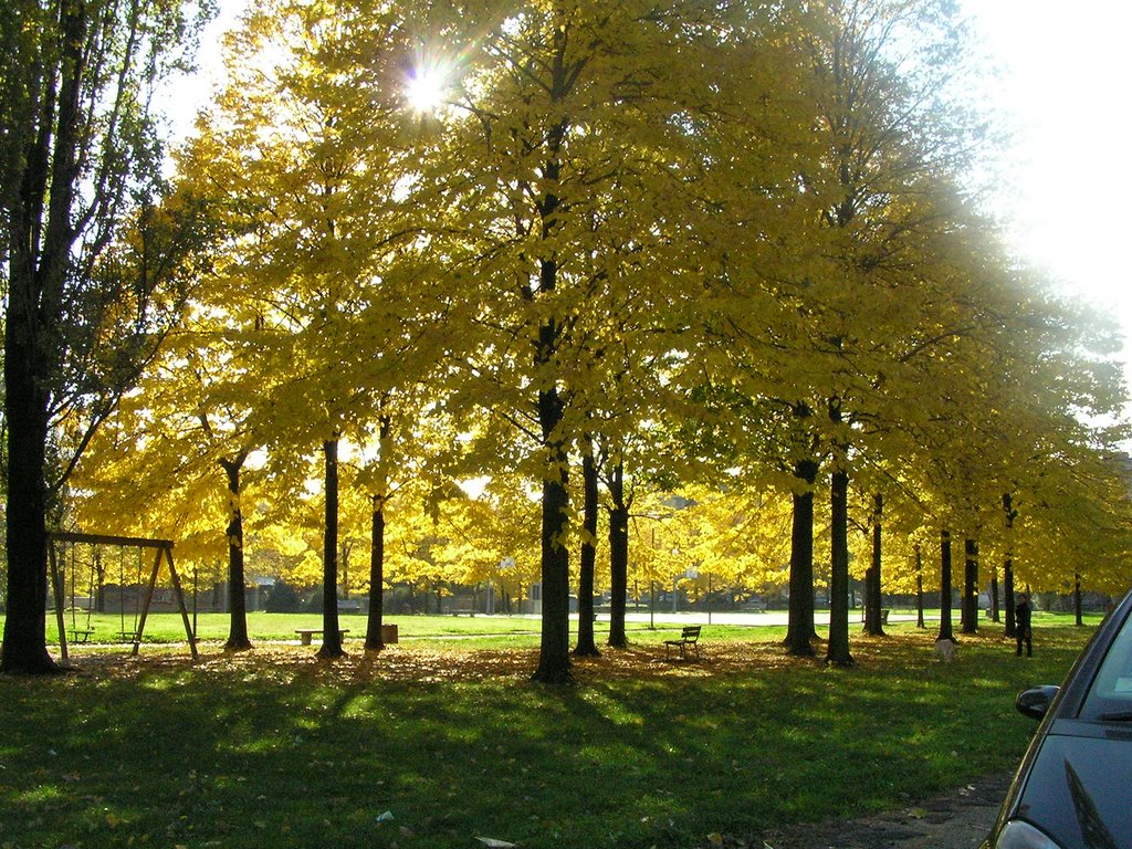 CREMONA - LAutunno ai Giardinetti di Via Dei Classici