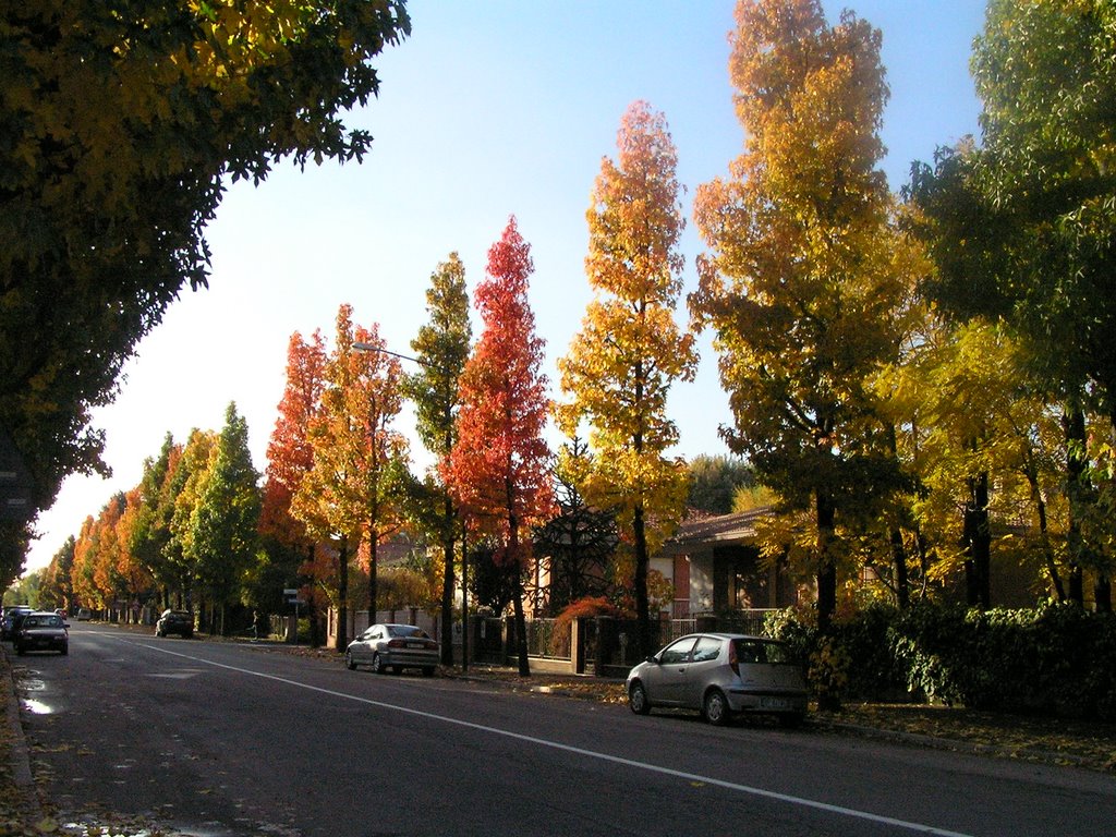 CREMONA - Via Trebbia - Valzer di Colori autunnali