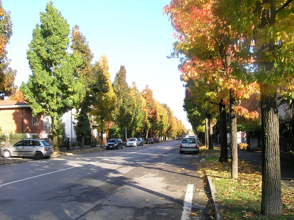 CREMONA - Via Trebbia