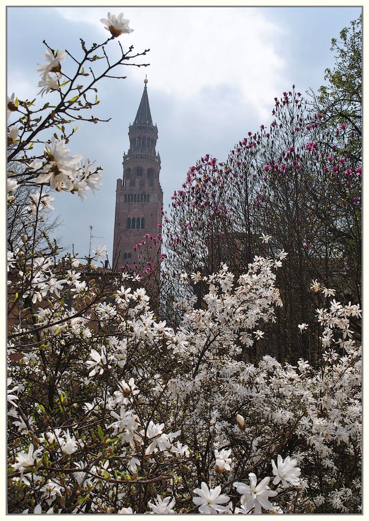 Torrazzo di Cremona