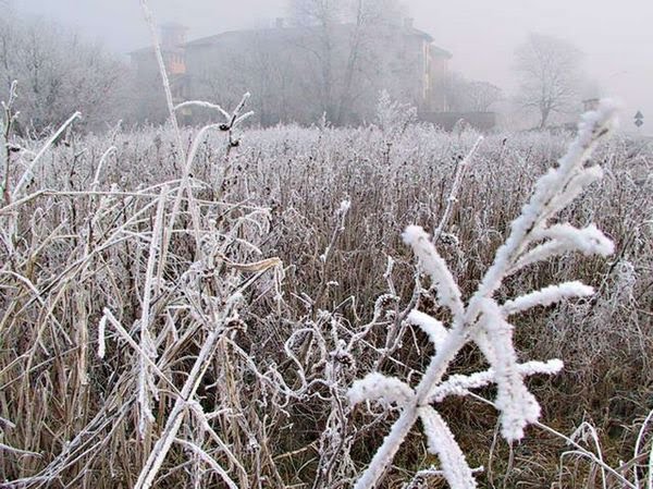Invernale