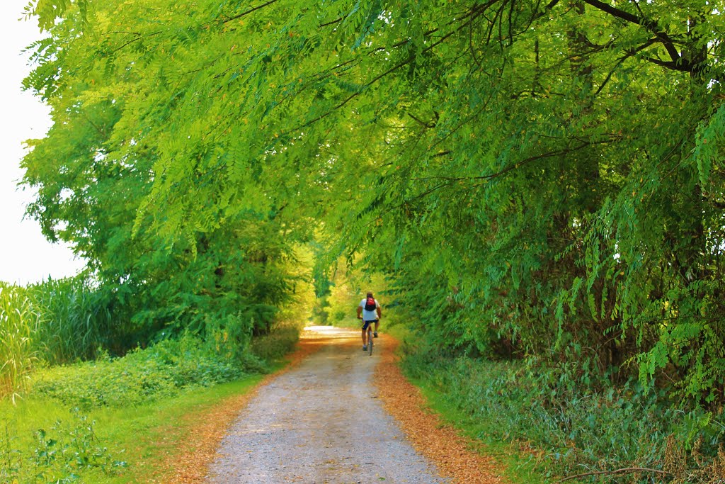 andando a malpaga .......e il solito