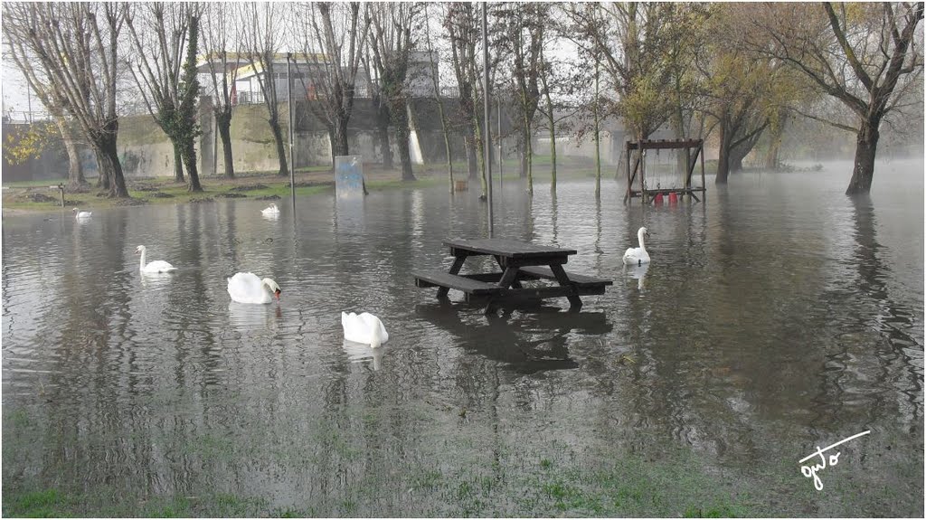 Lago in piena