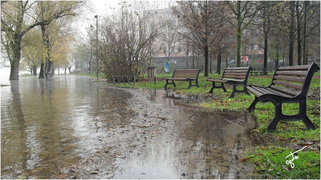 Ops dovè la ciclabile?