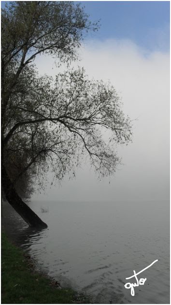 La Nebbia