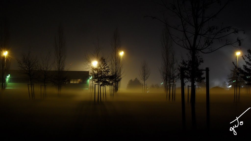 Notturna con la Nebbia