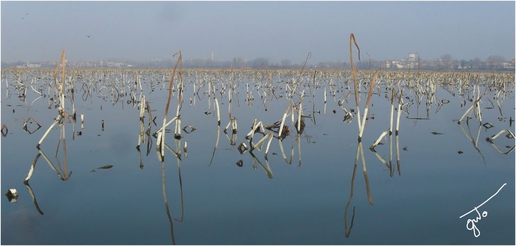 Isola del Fior di Loto durante linverno. Ad agosto germoglieranno e sbocceranno dei fiori bellissimi...Island of the Lotus pond during the winter. In August we will have sprouted and the flowers are beautiful ...