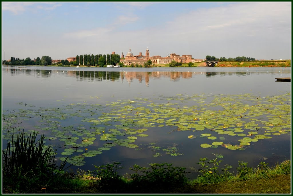 Mantova e le ninfee...
