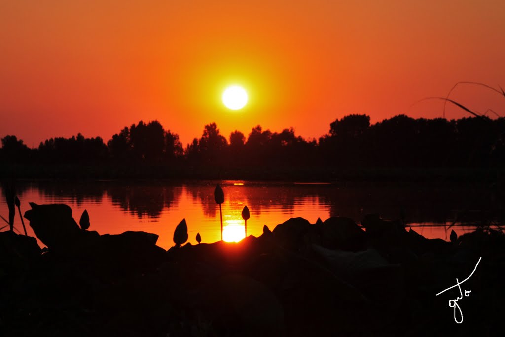 Fior di loto - Lisola del fior di loto la tramonto.