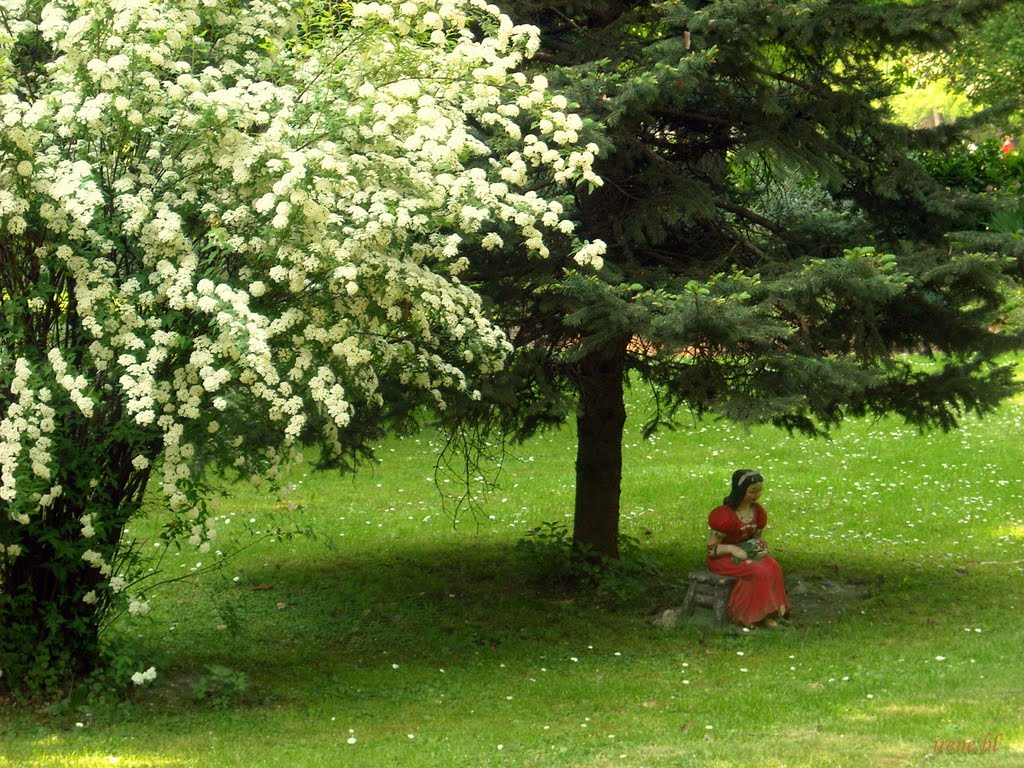 Remember the parks? {2}