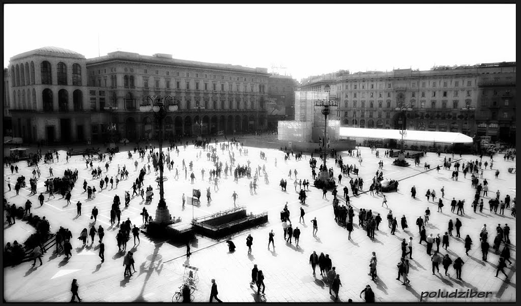 CITY ANTS
