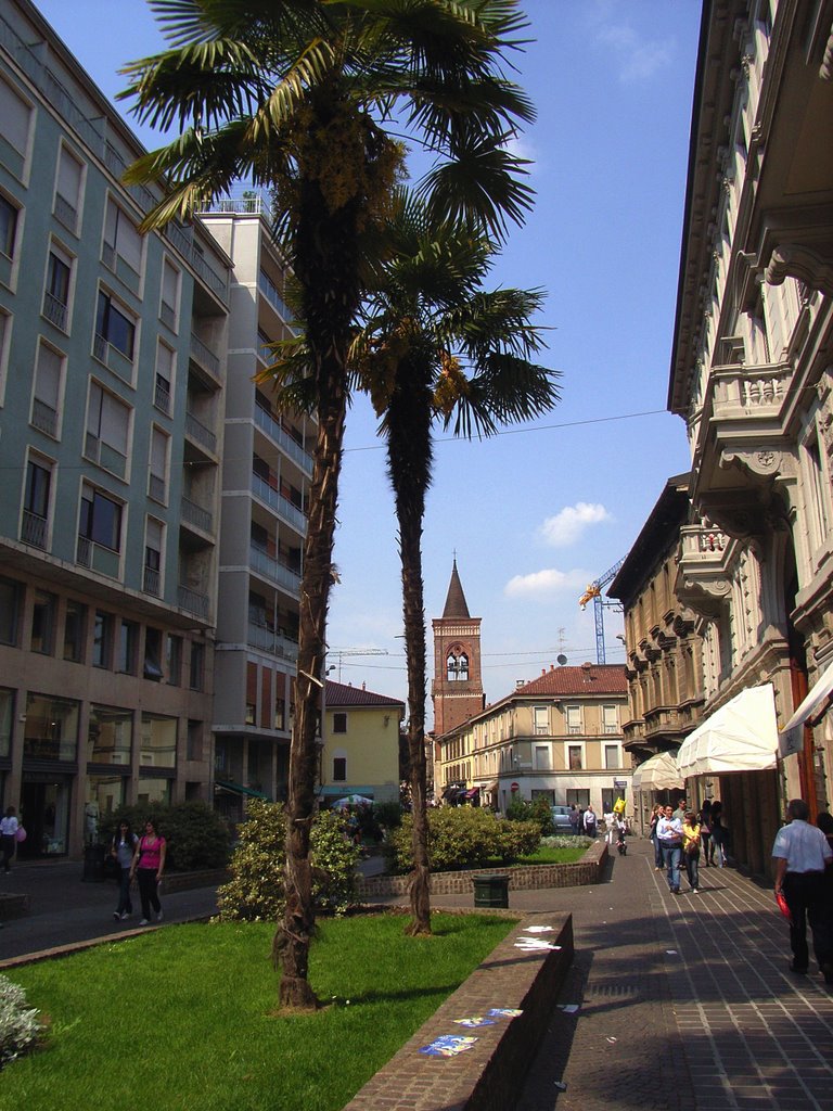 Monza by Lorenzo