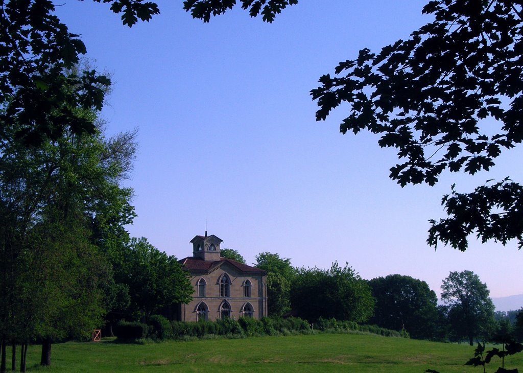 Primavera nel parco