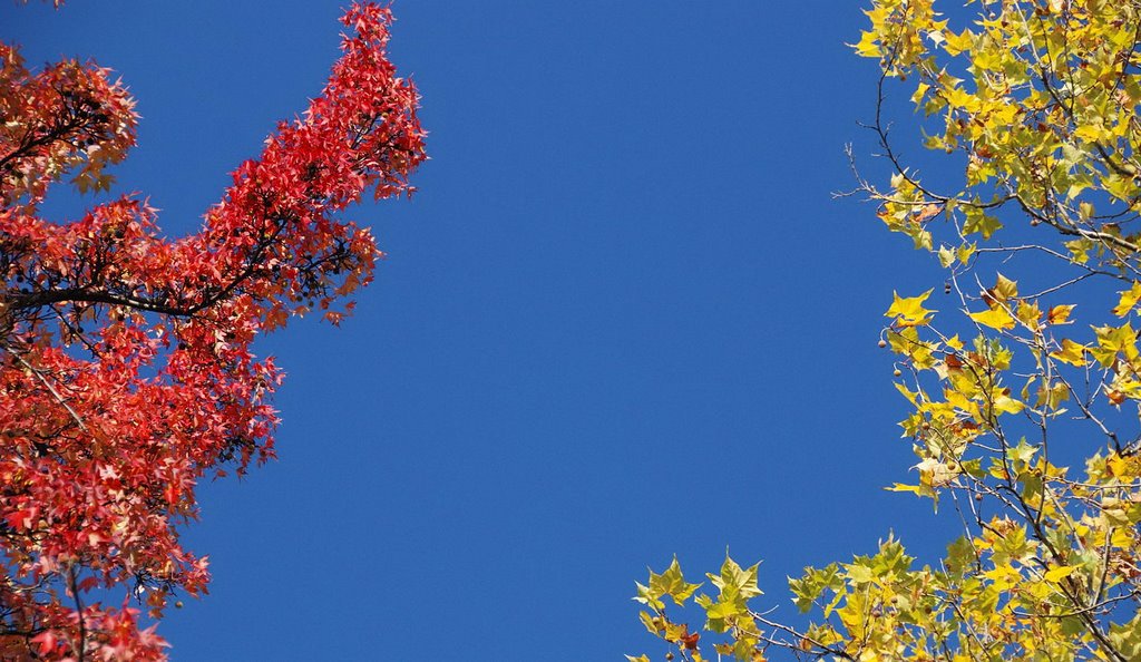Colliding colours