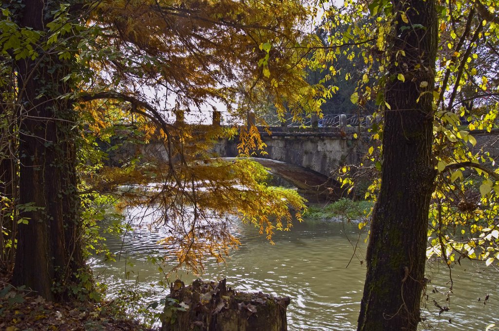 Il ponte di Viale Cavriga,opera del "famoso" Tazzini(1831)...by MP...