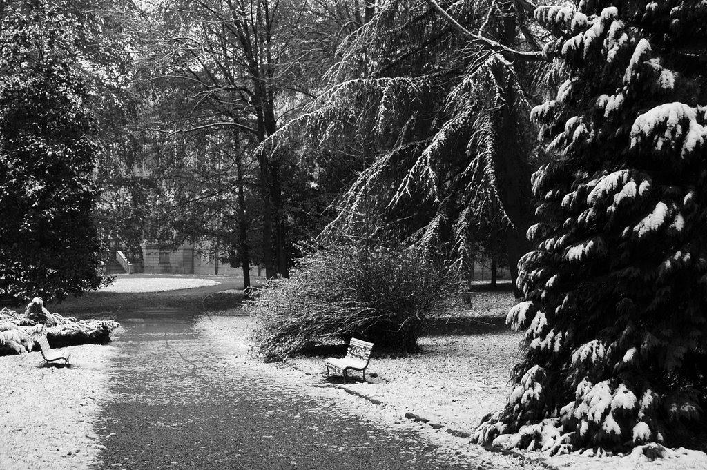 Il parco della "Villa"