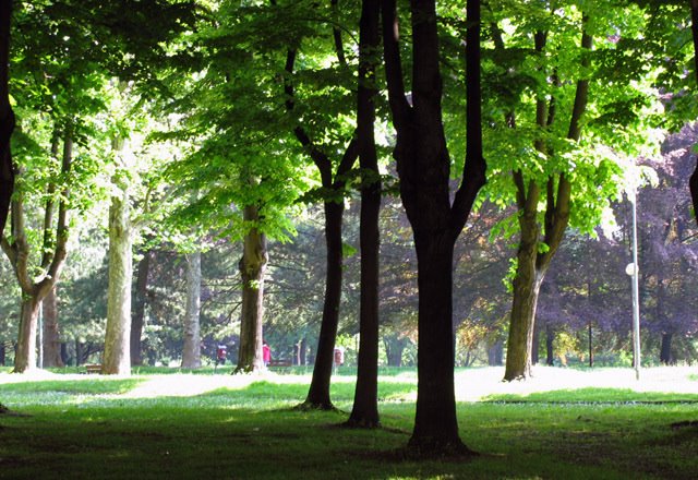 Parco di Monza