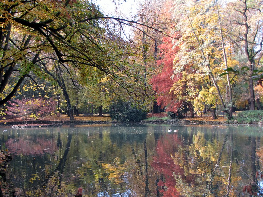Autunno - Riflessi e colori