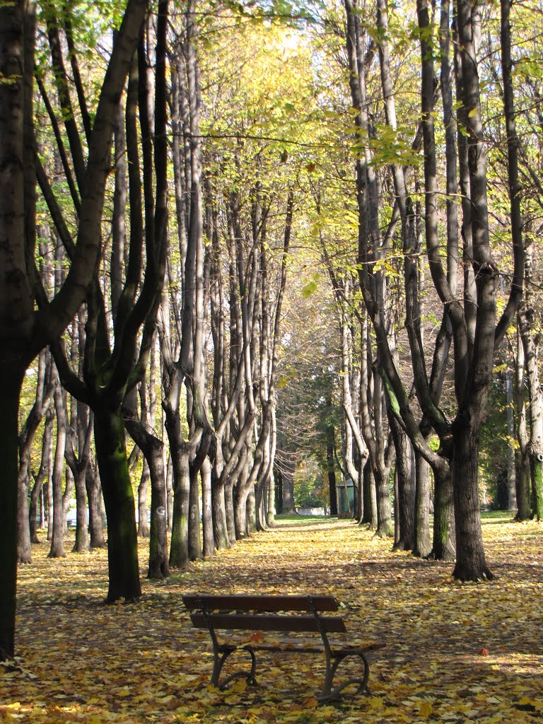 Autunno - Colori